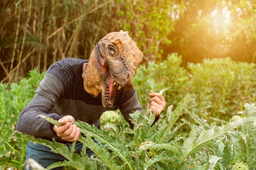 Man with dinosaur animal head mask eating artichokes in vegetables garden at sunset.