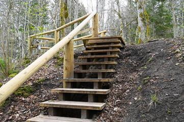 Nature trails wooden stairs in the woods leading up the hill in spring.