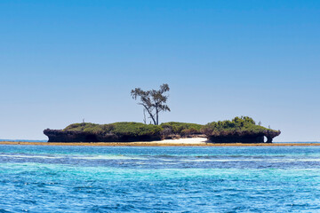 Wasini Island and Kisite-Mpunguti Marine National Park, Kenta, Africa