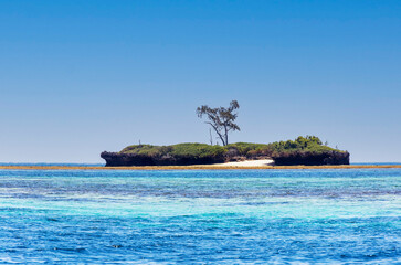 Wasini Island and Kisite-Mpunguti Marine National Park, Kenta, Africa
