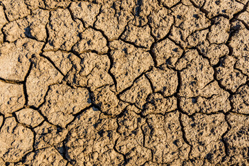 Background of the cracked dry barren soil. Global warming concept