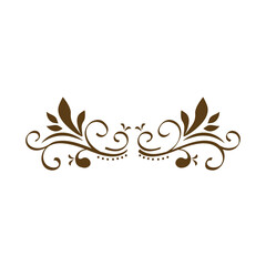 Fototapeta premium divider victorian border