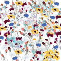 Field vector wild flowers meadow seamless pattern