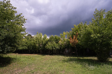 Fototapeta na wymiar Black rain clouds gather quickly over the orchard