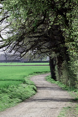 Chemin rural de randonnée, nature et sport de plein air 