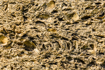 Texture of the shell rock limestone for background. Natural pattern