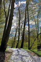 an alley in Sovata resort - Romania
