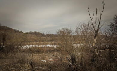 spring landscape on the river in the Russian village