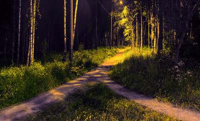 Two paths among grass and trees merged into one. Night view in the park with electric lighting of...