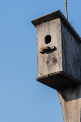 Feeder. Early spring day on garden.