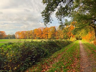 Fototapeta premium landscape08