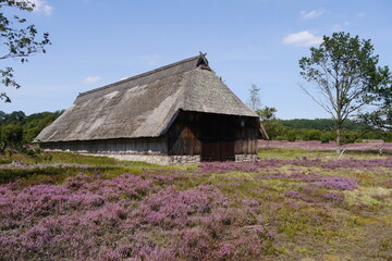 Scheune mit Reeddach in der Lüneburger Heide