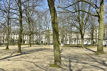 Le Parc Royal à Bruxelles pendant la période du confinement anti-COVID 