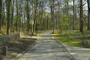 Chemin asphalté au bois du parc St-Vincent à Evere 