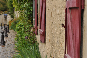 Architecture & Flowers