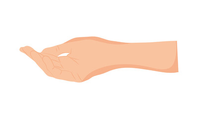 human hand icon