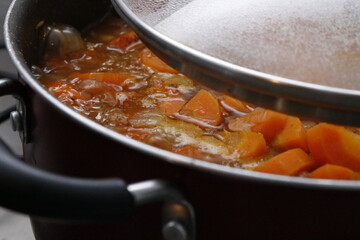 FOOD COOKER