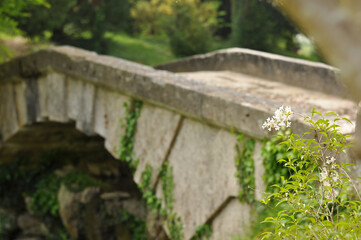 Architecture & Flowers