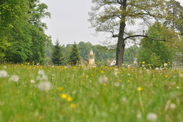 Architecture & Flowers