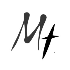 Mt initial handwritten logo for identity