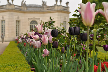 Architecture & Flowers