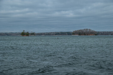 Blue heron flying over the lake