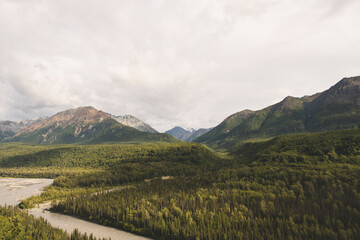 landscape in the summer