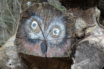 Fototapeta na wymiar Auf einen Baumstamm gemaltes Bild einer Eule
