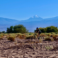 Active biker riding in dry desert before mountains and trees, Atacama salt desert, Chile