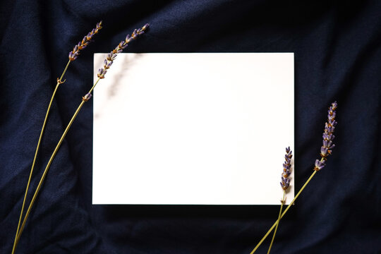 Blank white card on dark blue fabric background with lavender flowers. Elegant feminine composition. Empty space for text. Copy space.	