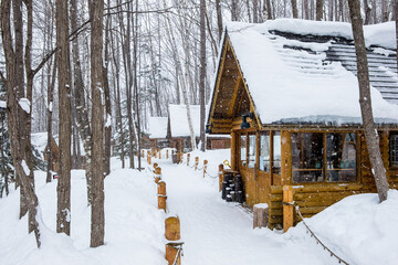 Snow-covered forest cabins during the day in Furano, Hokkaido, Japan