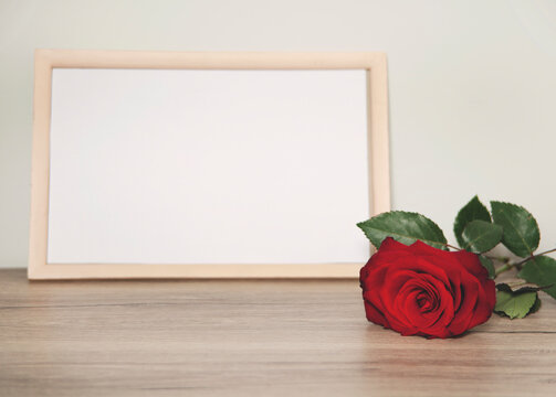 red rose and photo frame