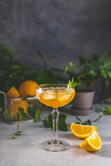 Champagne coupe glass of refreshing orange cocktail with ice served on gray table surface surround of orange fruit and different green plants