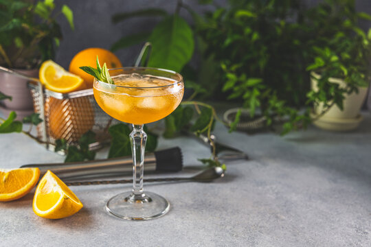Champagne coupe glass of refreshing orange cocktail with ice served on gray table surface surround of orange fruit and different green plants