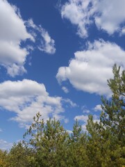 sky and clouds