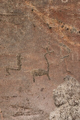 Ancient rock art. Image of a deer on a stone