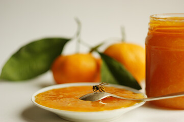 bee sitting on a spoon with citrus jam. Orange jam in glass jar on the background of fresh oranges.