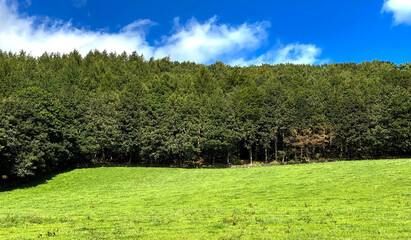 Green fields and a forest, set against a vivid blue sky next to, Hollins Hill, Bradford, Yorkshire, UK
