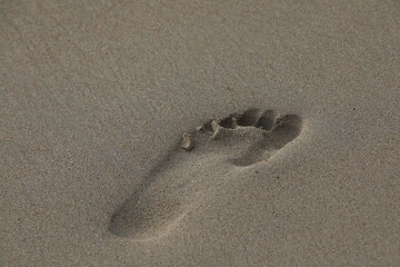 Fototapeta na wymiar A print of a bare foot in the sand.Close-up image