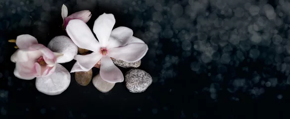 Zelfklevend Fotobehang beautiful pink magnolia flower in water, smooth white stones, concept of wellness spa treatments for the beauty of mind and body, massage, zen stone in the pool of serenity © kittyfly