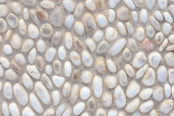 Fototapeta na wymiar background of white pebbles and a beige sand. Rustic style