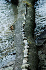 Steine auf Baum im Wasser