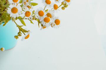 A bouquet of daisies in a blue vase on a white background. top view