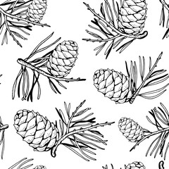 Pine cedar cone with a sprig, vector seamless background