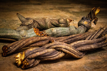 Ayahuasca sip&oacute; (Mariri)