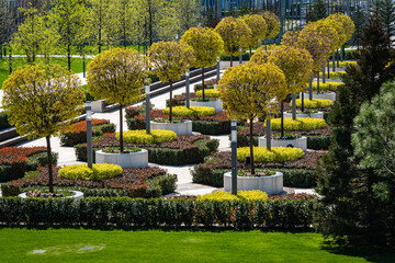 Obraz premium View from observation deck to French Garden. Great design of park. Public city landscape park 