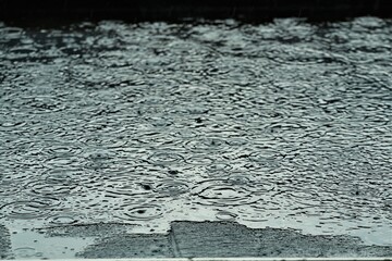 Rain is makes circles on a black flat roof