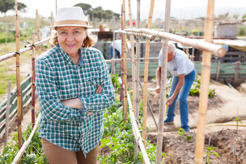 Smiling senior woman posing in garden on sunny day. High quality photo