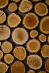 wooden background with stumps, texture subject shooting