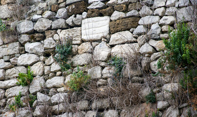 Unusual, beautiful background. The wall is made of stone, vegetation breaks through the stones. Grass, branches against the background of a stone wall.
